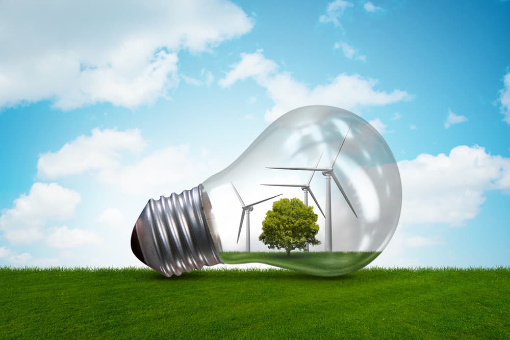 Contrat EDF : tout savoir